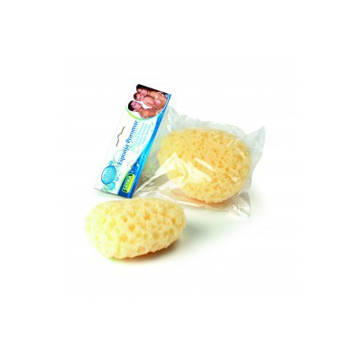 AFD_0032-Untitled-1.png