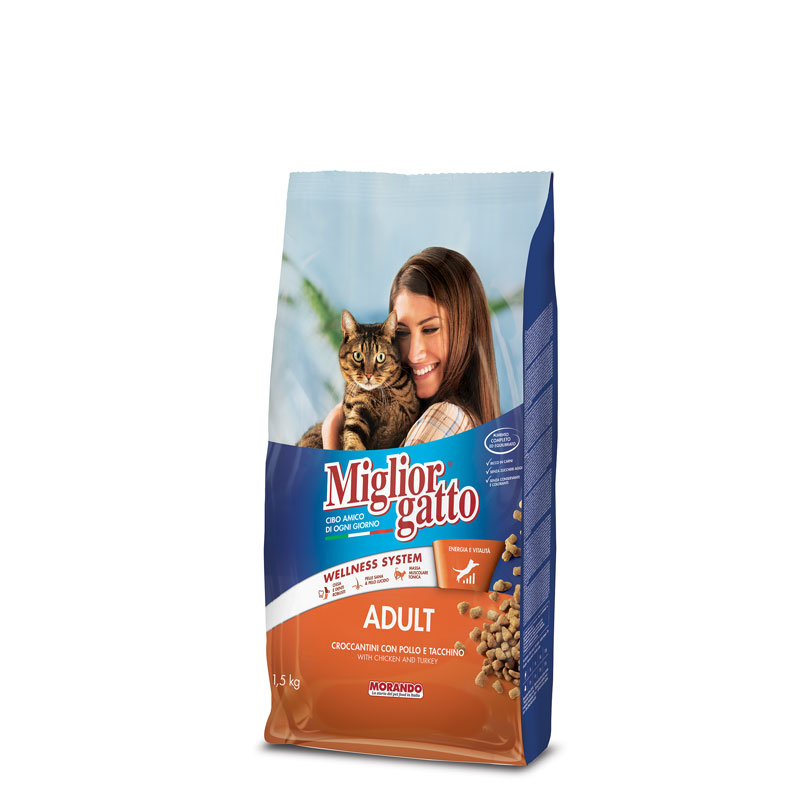 JSY_72923-Untitled-1.png