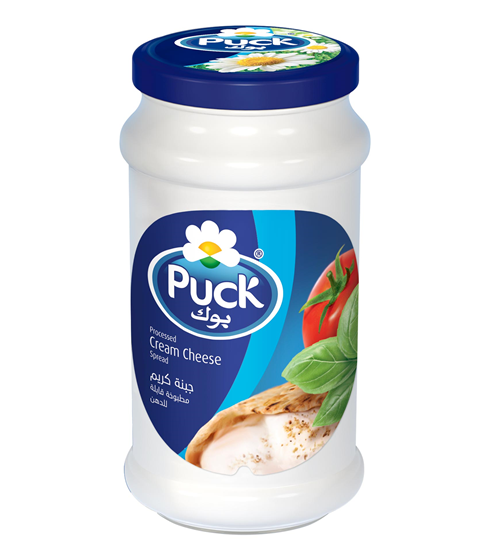 MANZ_FR0112-PUCK-JAR-240g.png