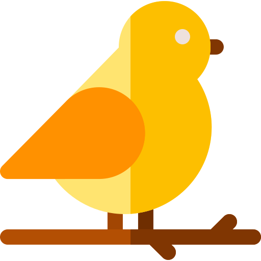 OISEAUX