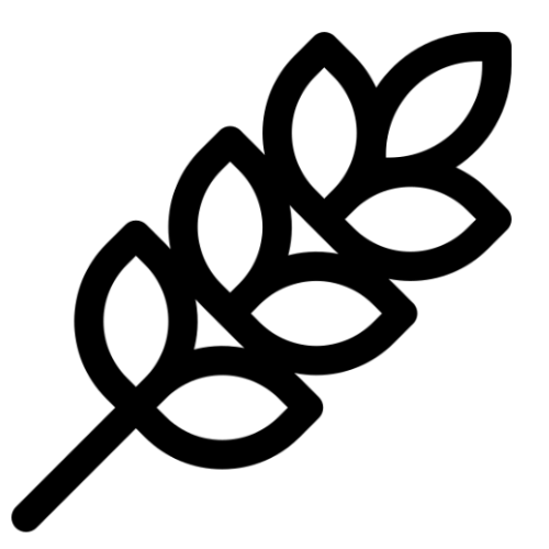 Féculants